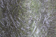 Niddrie fibreglass roof work