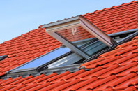 Niddrie roof window